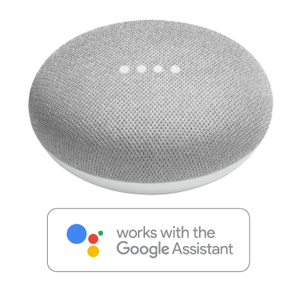 How to use Remootio with Google Home